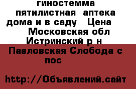 гиностемма пятилистная ,аптека дома и в саду › Цена ­ 200 - Московская обл., Истринский р-н, Павловская Слобода с/пос  »    